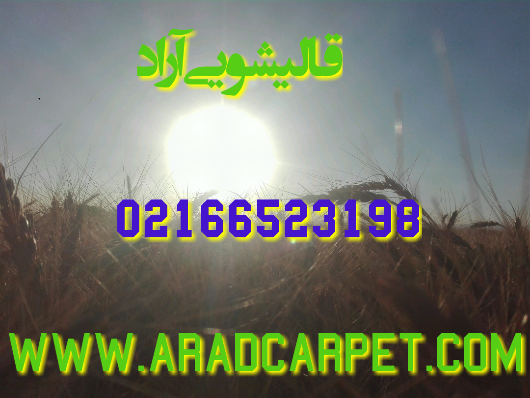 قالیشویی قالیشویی در شهرک شریفی 66523198