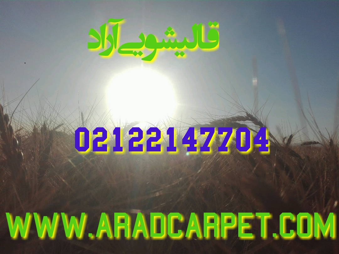 قالیشویی قالیشویی در منطقه مبارک آباد 22147704