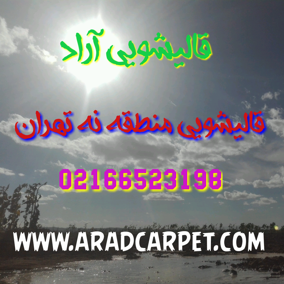 قالیشویی قالیشویی در منطقه نه تهران 66523198