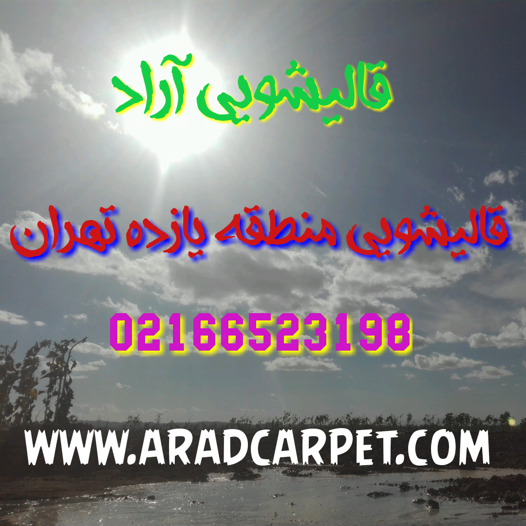 قالیشویی قالیشویی در منطقه یازده 66523198 ⭐⭐⭐⭐⭐